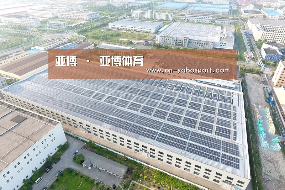 案例展示二