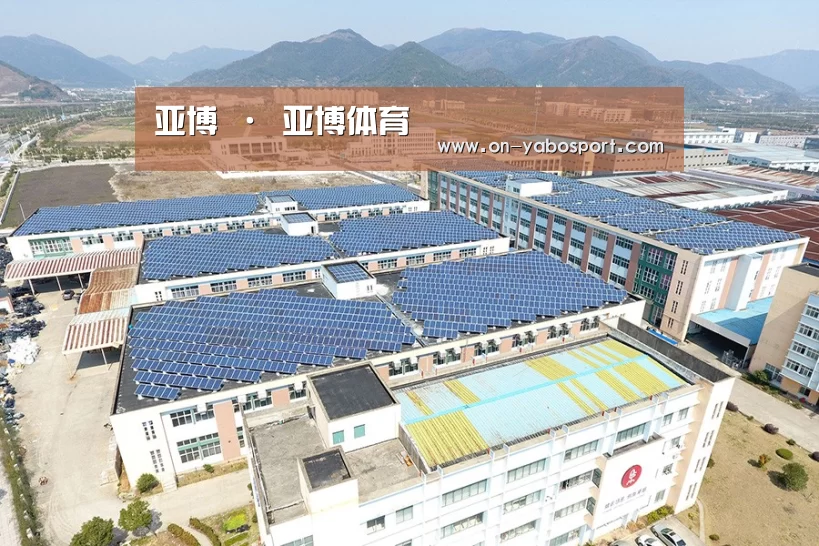 案例展示二