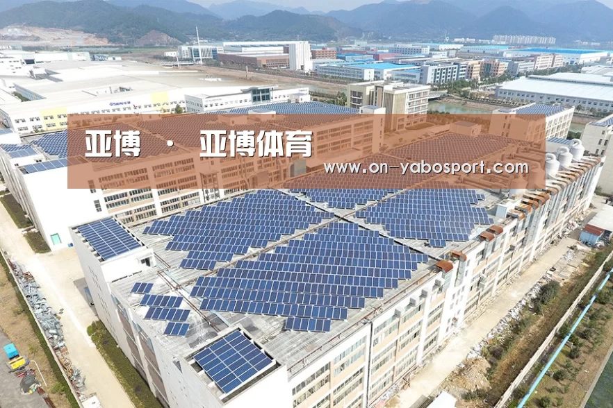 案例展示一