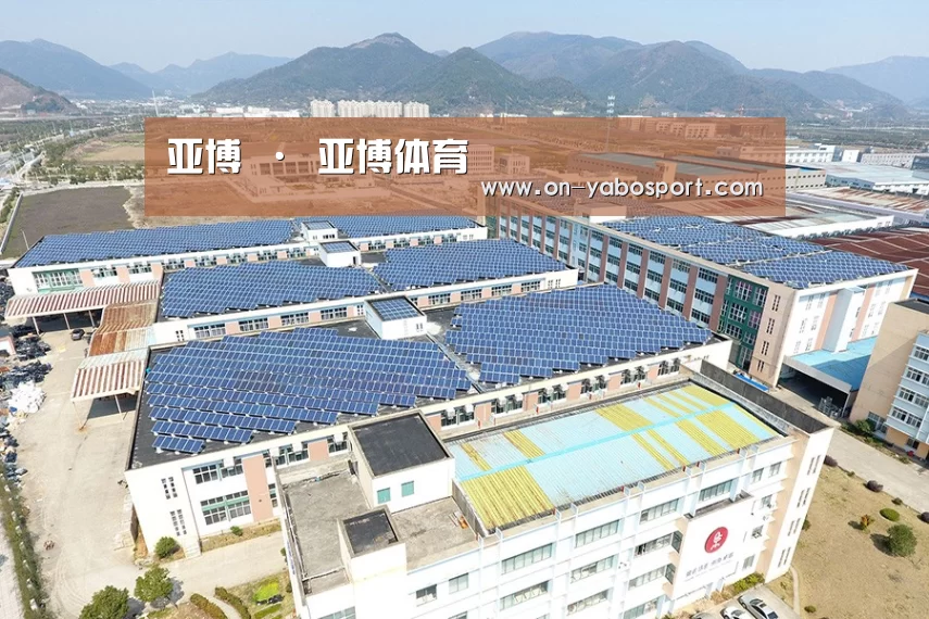案例展示四