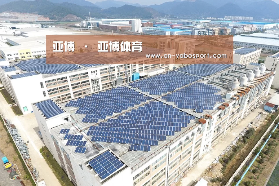 案例展示三