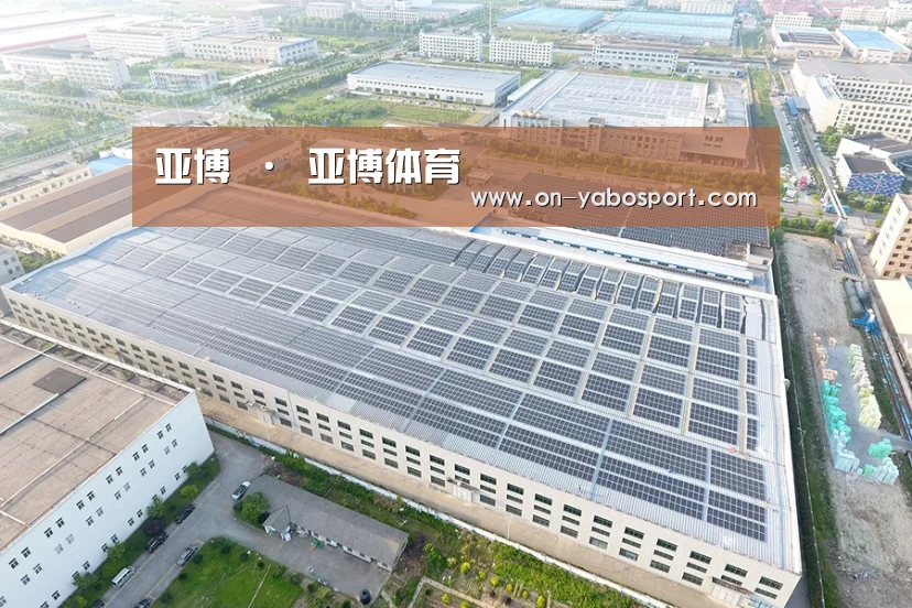 案例展示二