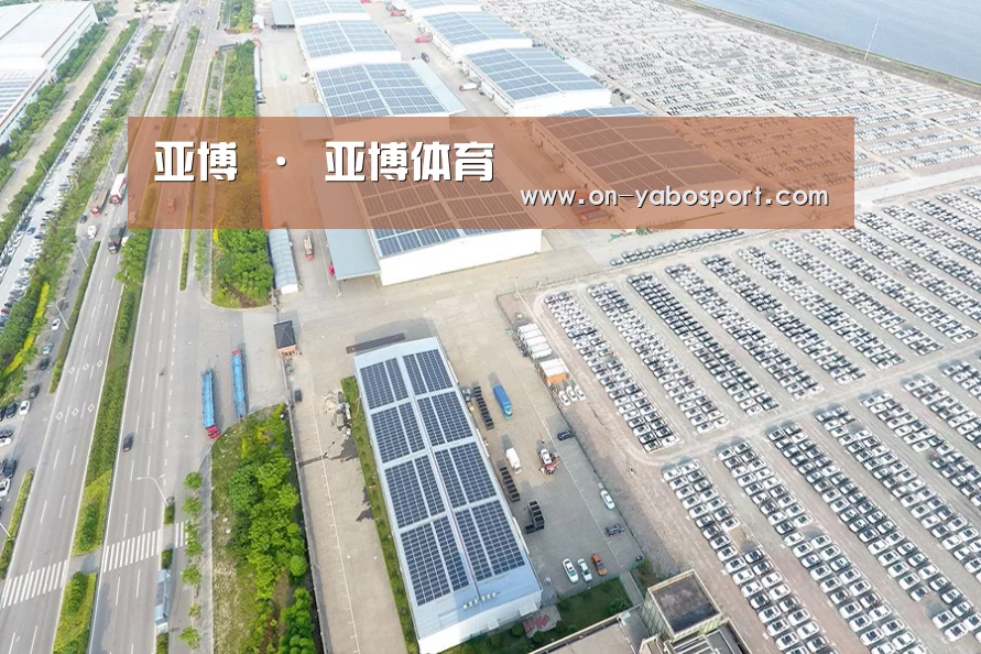 案例展示一