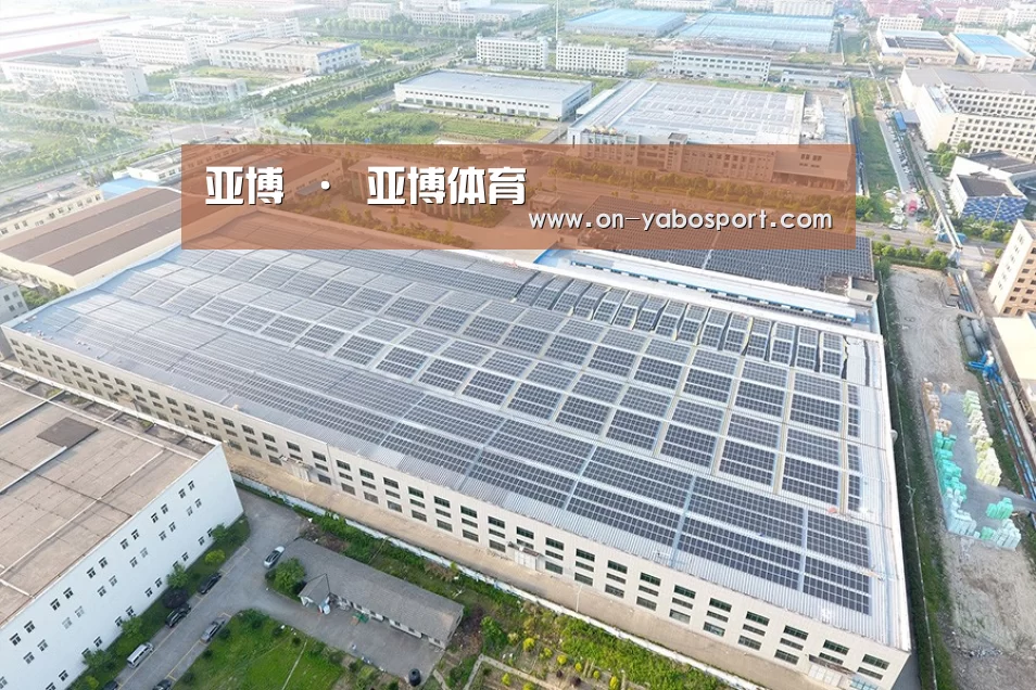 案例展示三