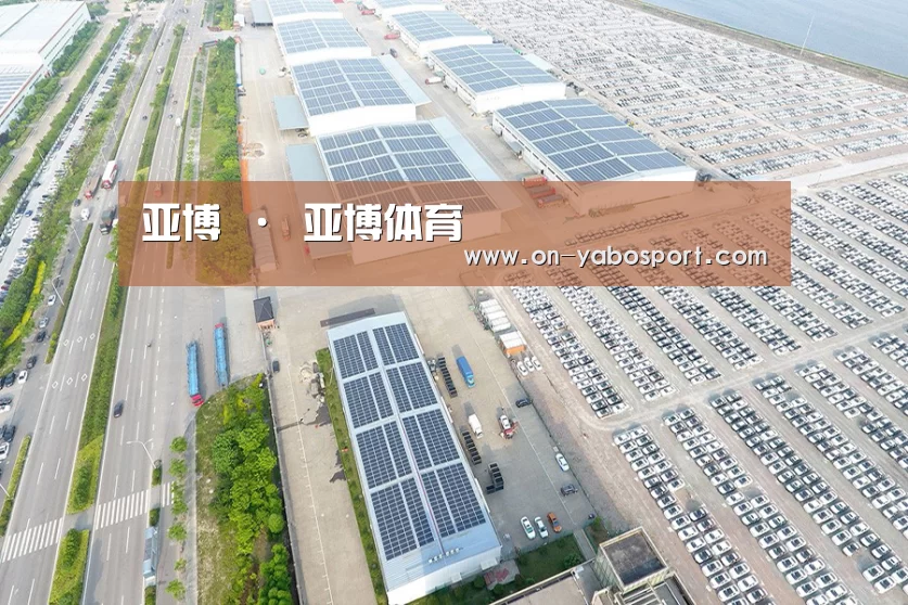 案例展示一