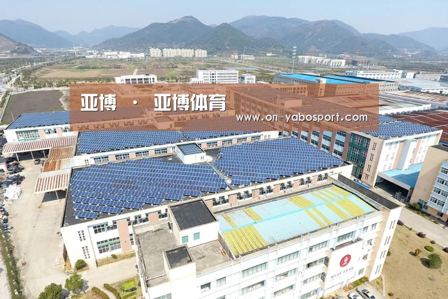 案例展示三
