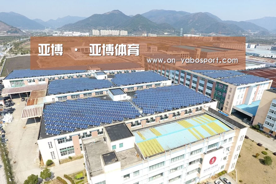 案例展示三