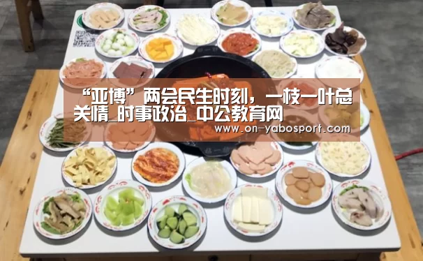 “亚博”两会民生时刻,一枝一叶总关情_时事政治_中公教育网(图2) 亚博平台