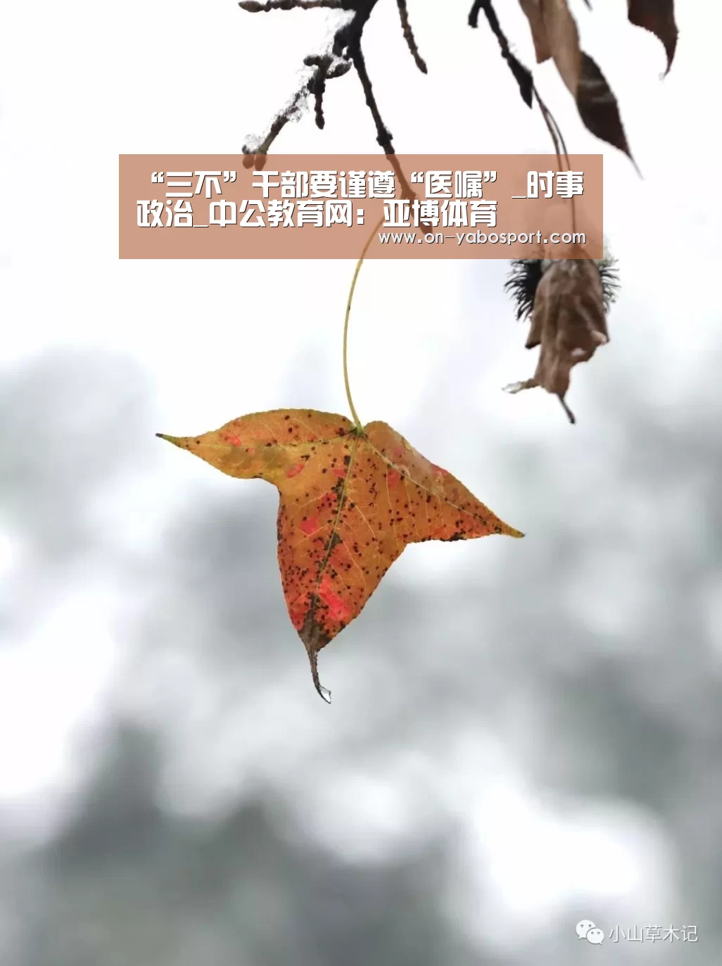 亚博娱乐